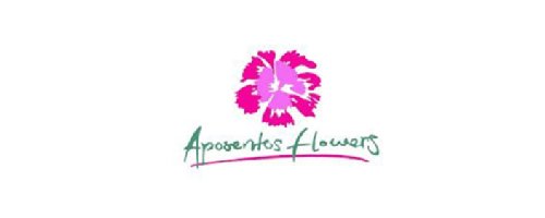 clientes-06
